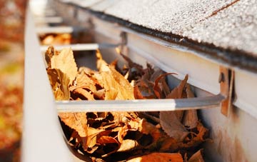 Higher Eype gutter cleaning companies