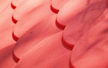 Higher Eype plastic roof costs