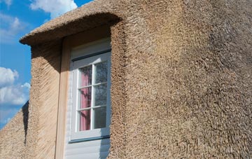 Higher Eype thatch roof disadvantages