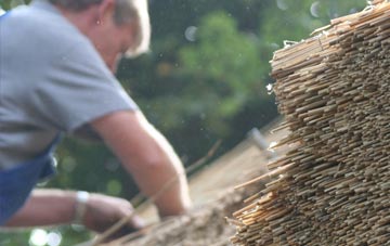 professional Higher Eype thatchers