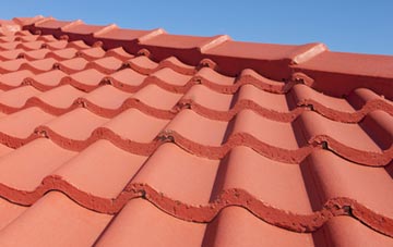 Higher Eype tile and slate roof replacement