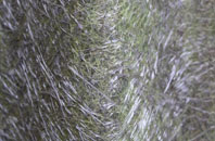 Higher Eype fibreglass roof work