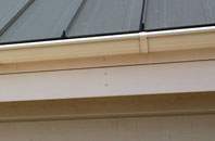 Higher Eype soffit repair